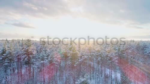 Similar – Image, Stock Photo Tourist with bike in mountains