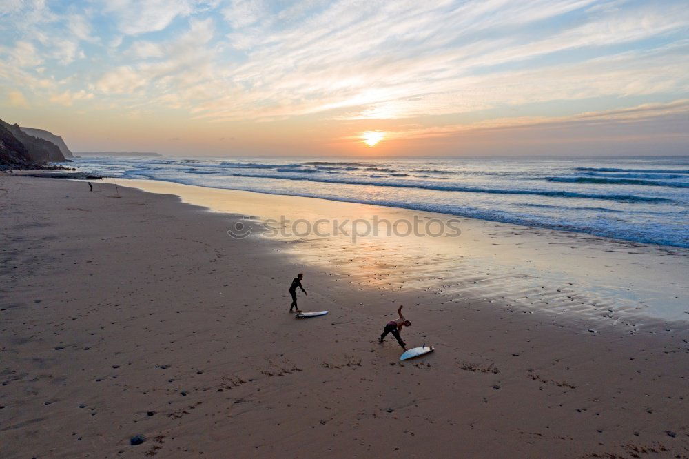 Similar – Image, Stock Photo two happy dogs having fun at the beach. Running