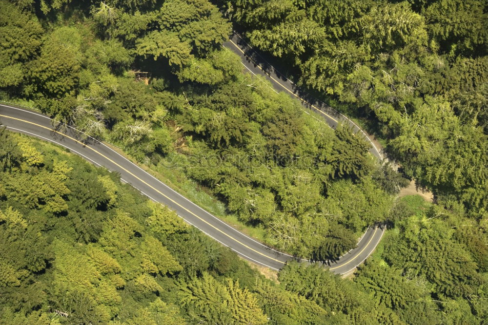 Similar – Image, Stock Photo Aerial top view top view of the road through the trees,