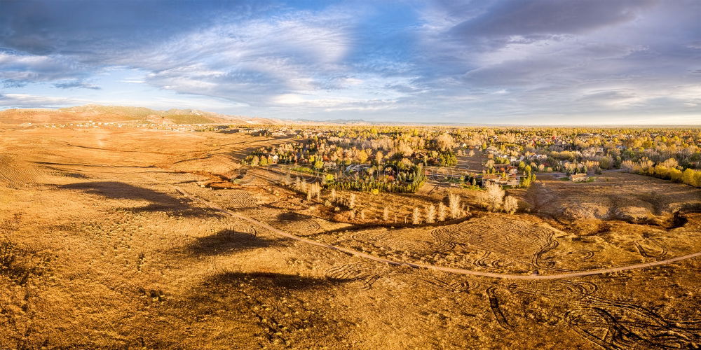 Similar – Foto Bild Desertification Wüste Baum