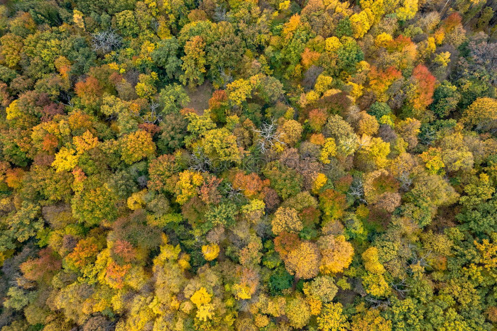 Similar – Schduagerter Landschaft