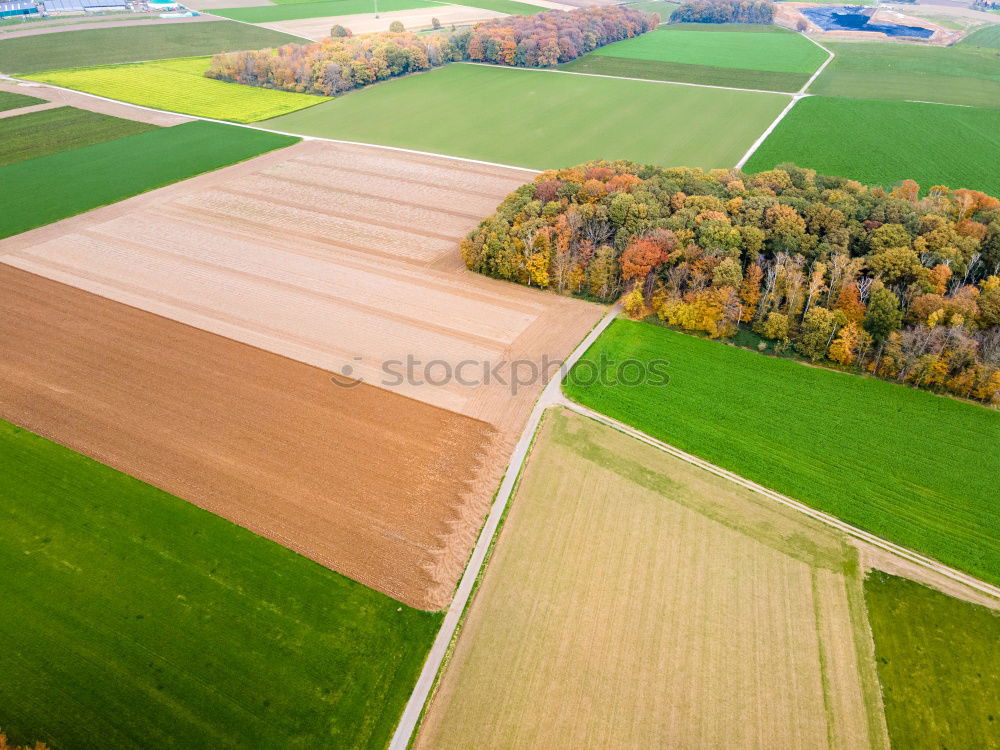 Similar – Foto Bild vogelperspektive Feld Baum
