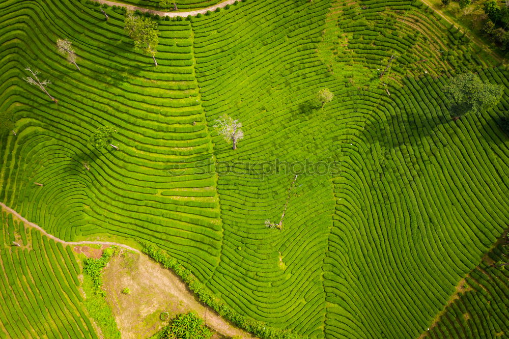 Similar – Aerial top view photo from flying drone