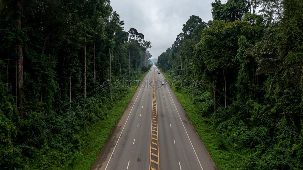 Similar – Truck driving through forest