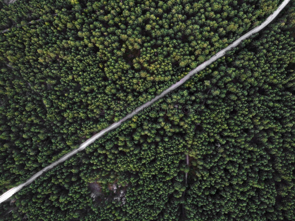 Similar – Eine kurvenreiche Straße von oben, die durch einen grünen Wald führt. Drohne Schuss für Tapeten, von oben nach unten von oben Luftaufnahme im Spätsommer.