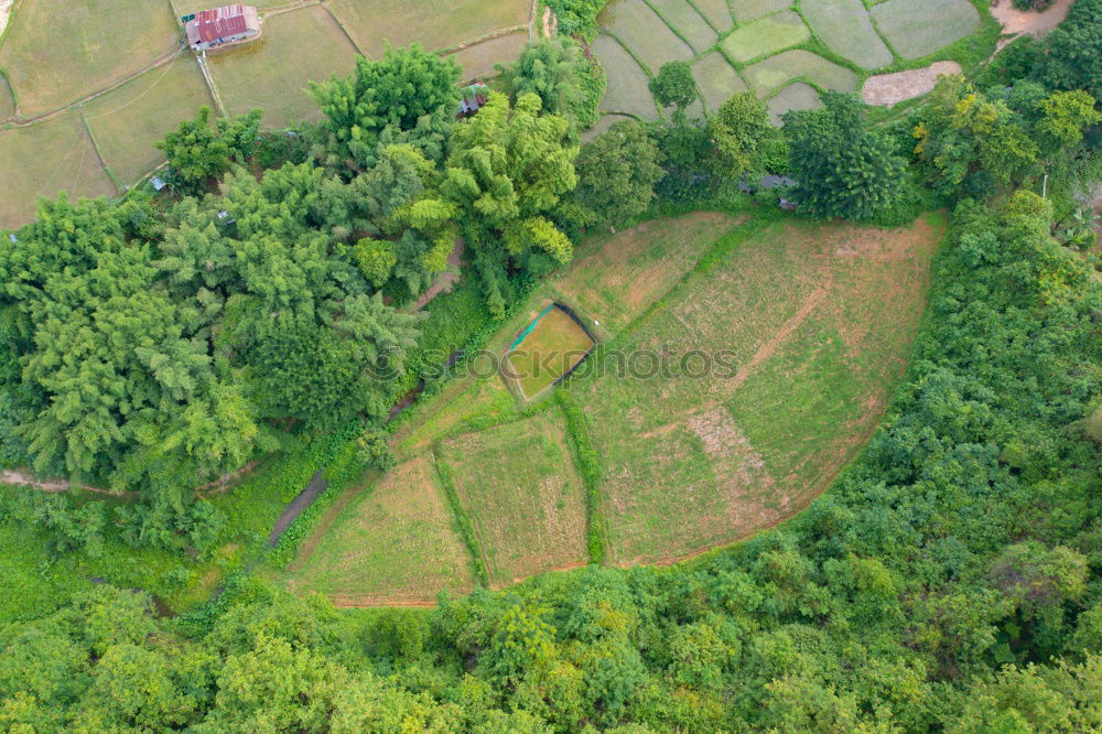 Similar – Image, Stock Photo Ubud Bali Lifestyle Nature