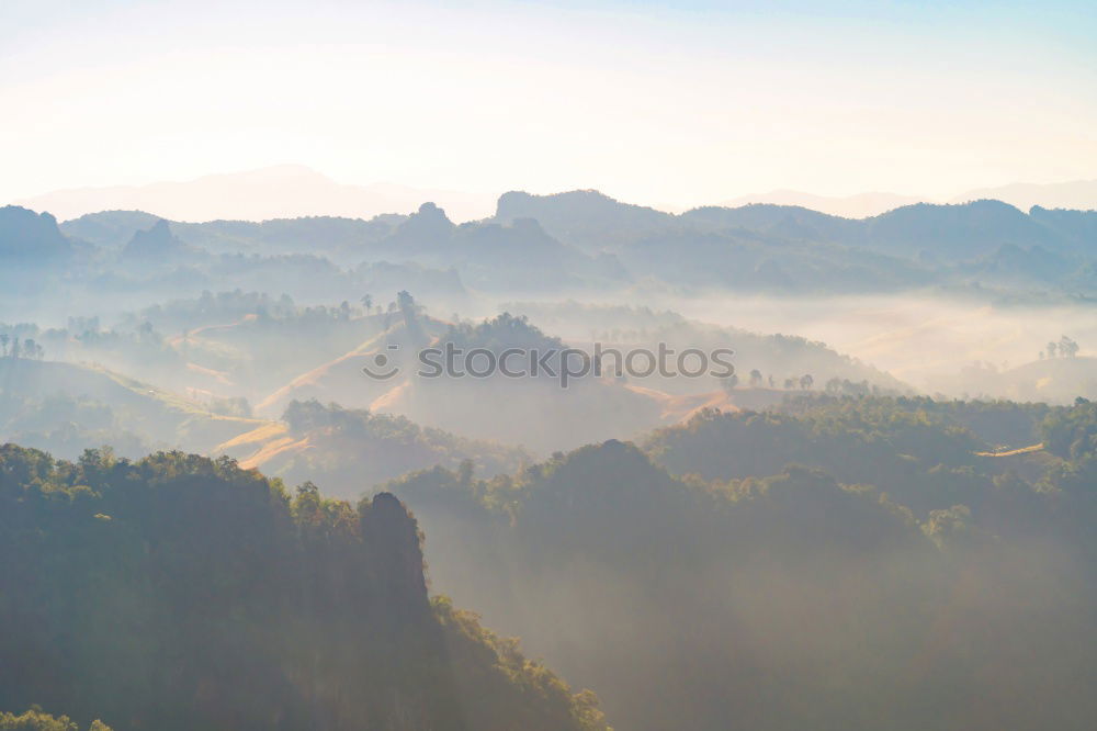 Similar – Foto Bild Immer der Elbe entlang