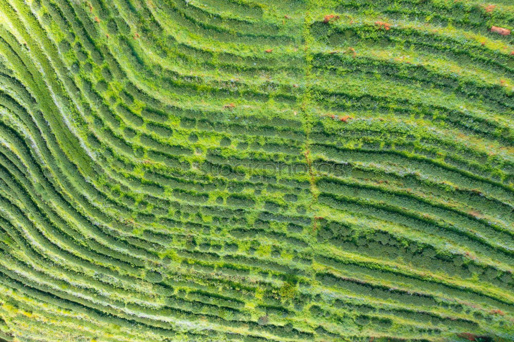 Similar – Image, Stock Photo Twisted river Environment