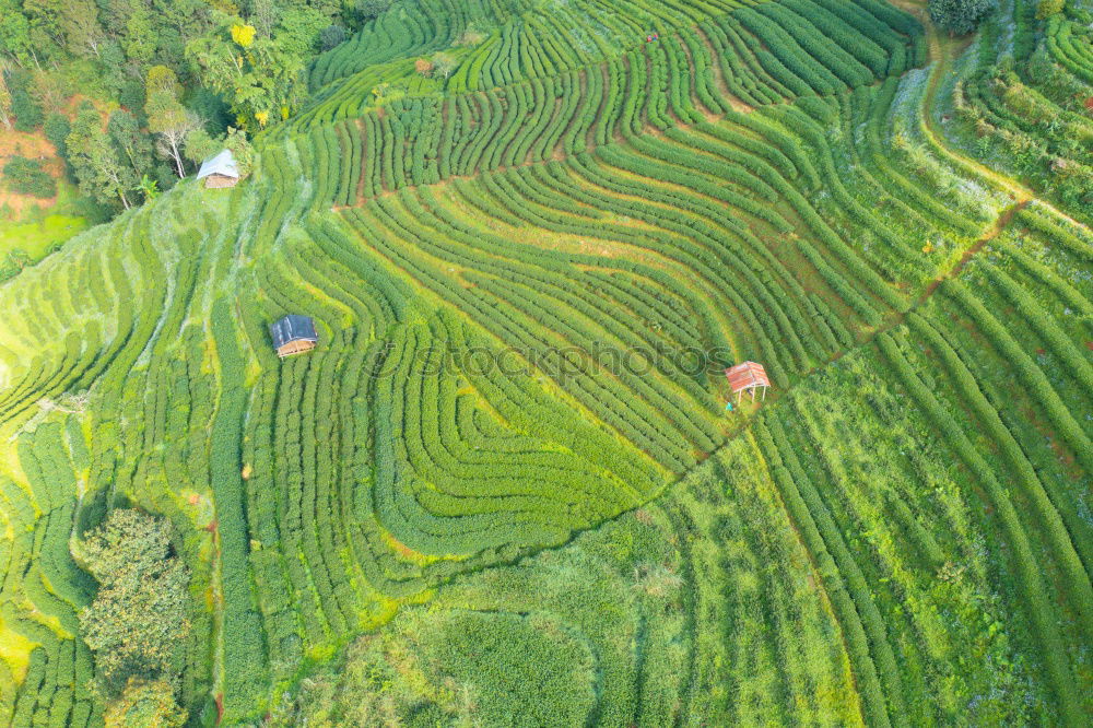 Similar – Aerial top view photo from flying drone