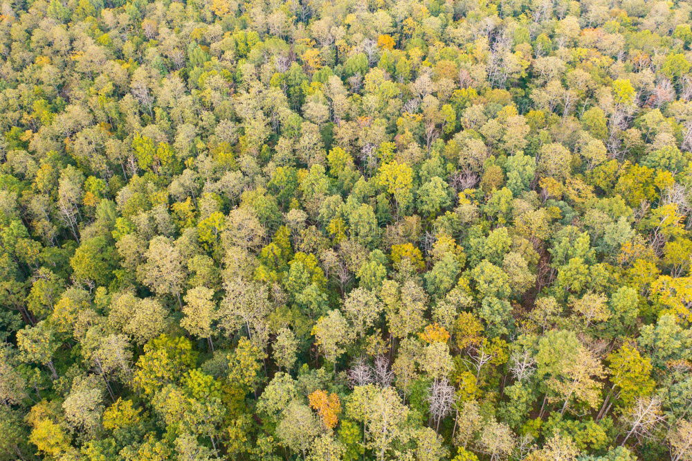 Similar – Schduagerter Landschaft