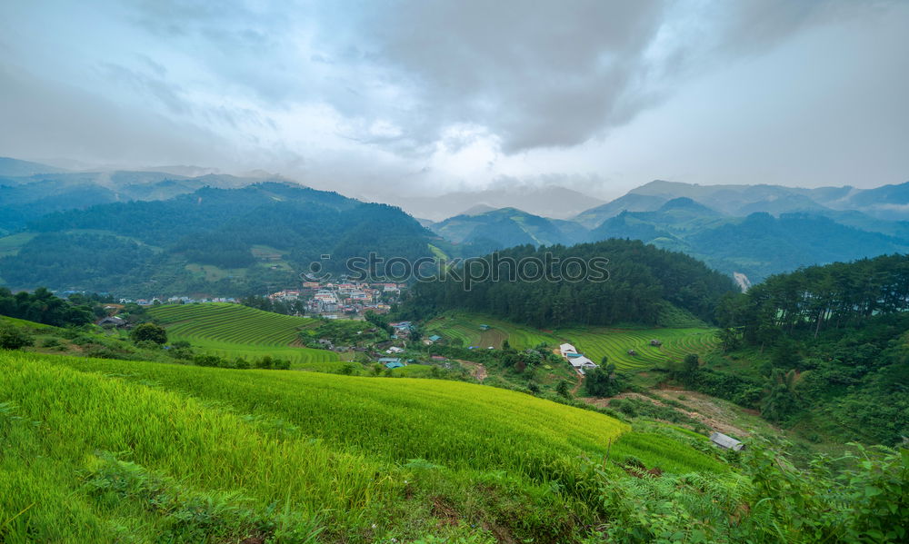 Similar – Top view of the rice paddy fields in northern Thailand