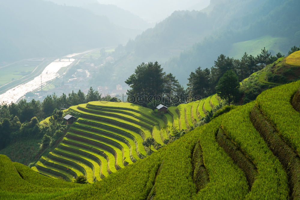 Similar – Image, Stock Photo a way through the green