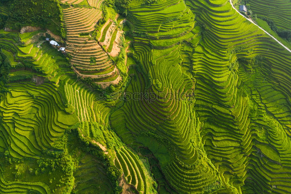 Similar – Aerial top view photo from flying drone