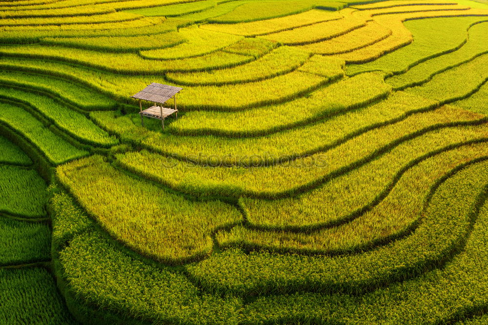 Similar – Image, Stock Photo yard Subdued colour