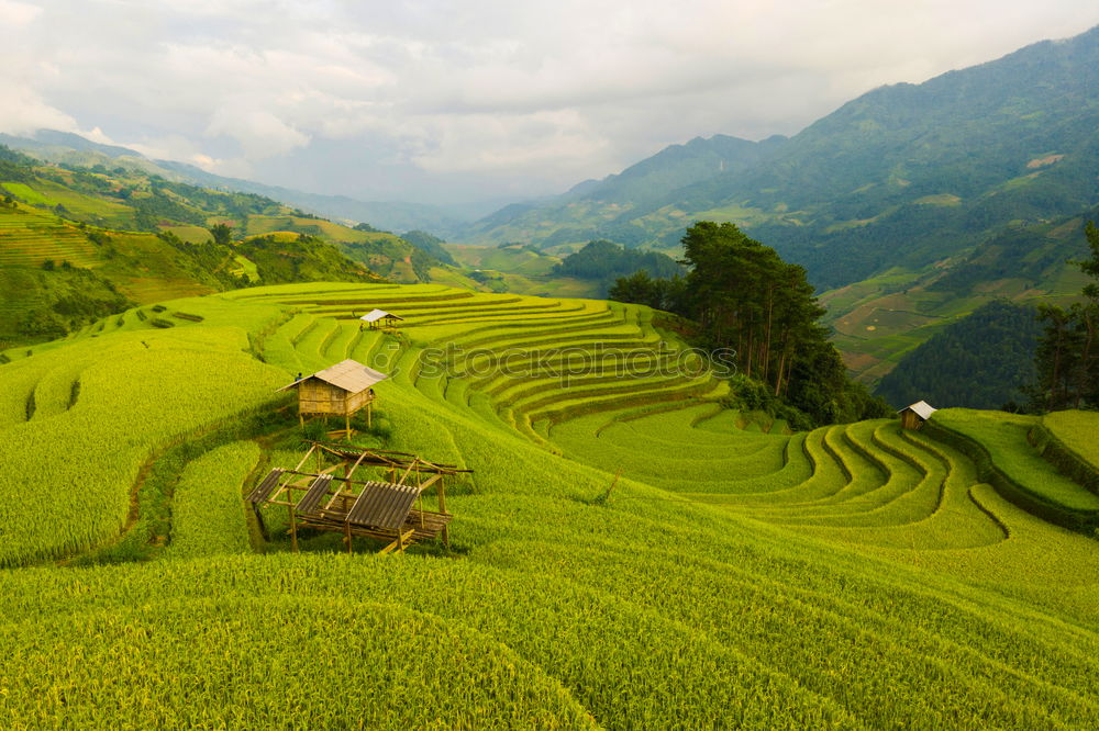 Similar – Top view of the rice paddy fields in northern Thailand