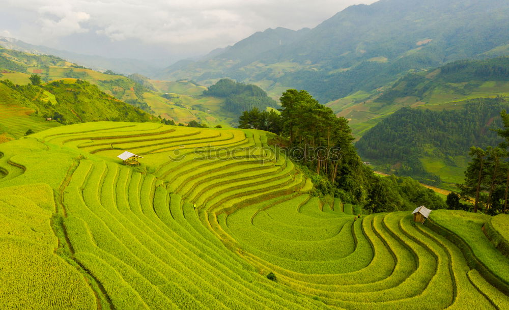 Similar – Top view of the rice paddy fields in northern Thailand