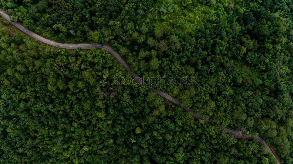 Similar – Eine kurvenreiche Straße von oben, die durch einen grünen Wald führt. Drohne Schuss für Tapeten, von oben nach unten von oben Luftaufnahme im Spätsommer.