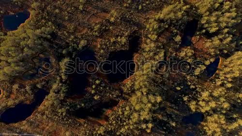 Similar – Image, Stock Photo wood texture Garden Spring