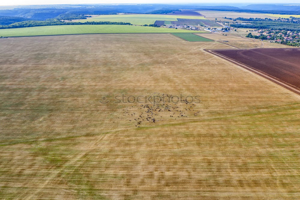 Similar – Image, Stock Photo pickaxe[2] Mole Hill