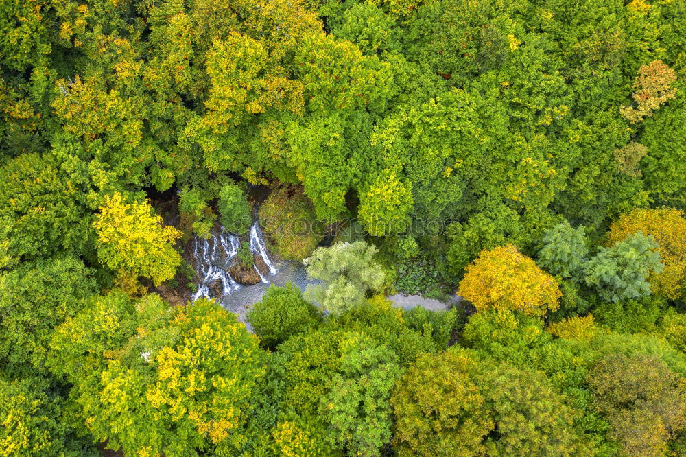 Similar – Image, Stock Photo Aerial View Of Road Running Through Carpathian Mountains Forest