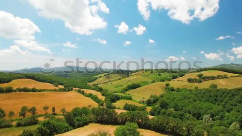 Similar – Image, Stock Photo tea with view