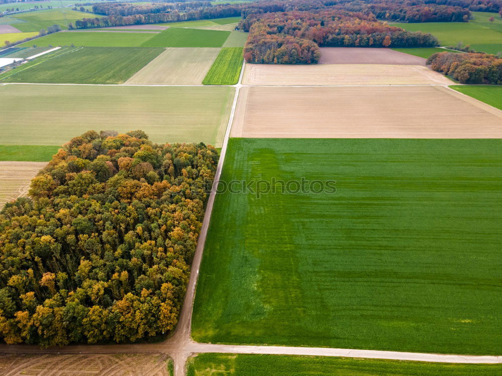 Similar – Foto Bild T Umwelt Natur Landschaft