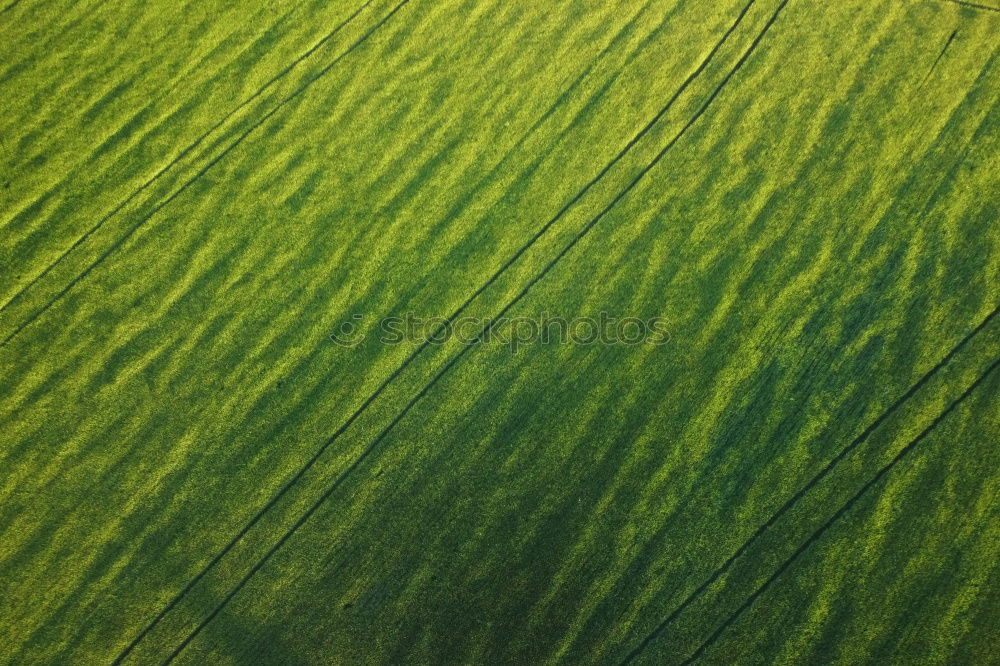 Foto Bild Wasn das? fliegen Mikrofon