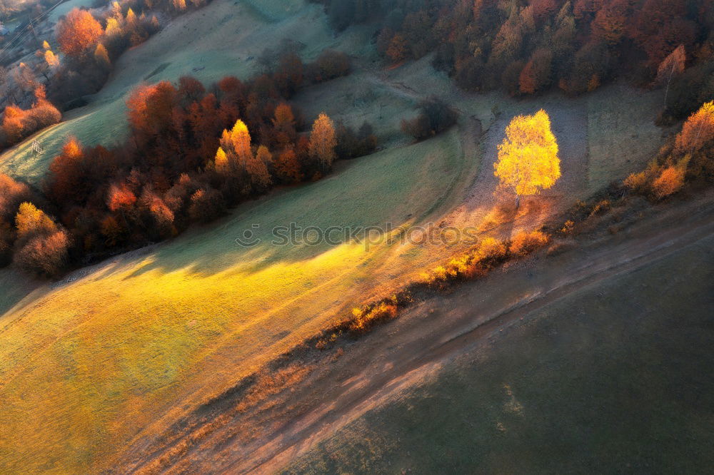 Similar – Curved serpentine road trough fall forest and village.