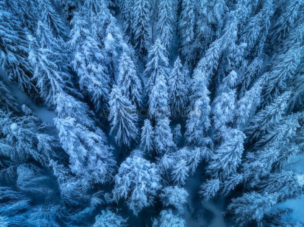 Similar – Image, Stock Photo Blue Sky Well-being