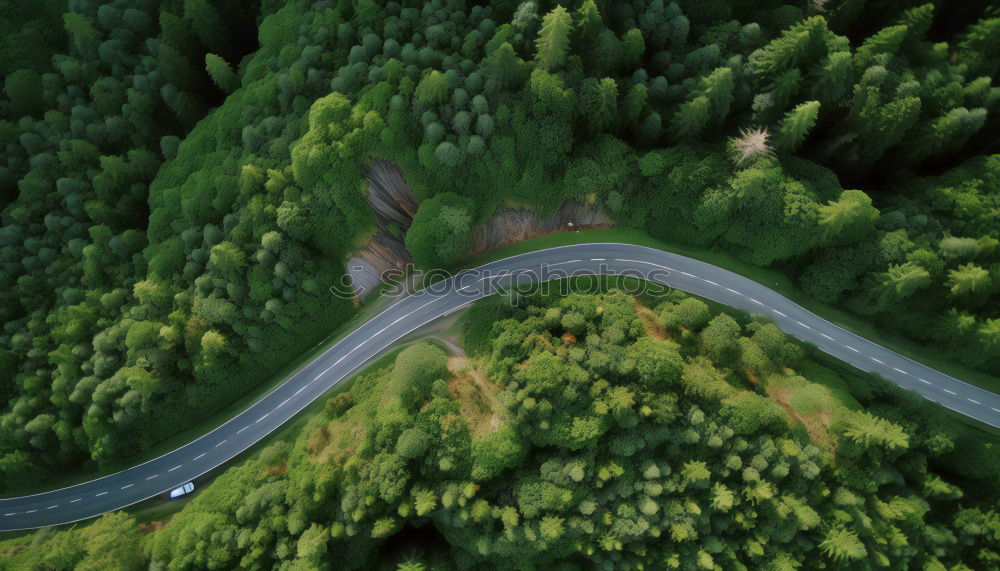 Similar – Eine kurvenreiche Straße von oben, die durch einen grünen Wald führt. Drohne Schuss für Tapeten, von oben nach unten von oben Luftaufnahme im Spätsommer.