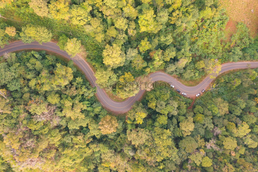 Similar – Image, Stock Photo Small road in a forest seen from above