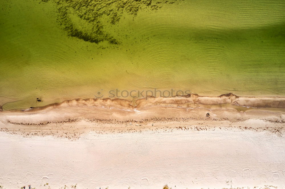 Similar – shark Beach Ocean Maldives