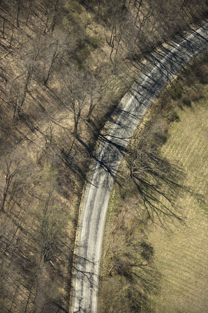 Similar – Image, Stock Photo Small road in a forest seen from above