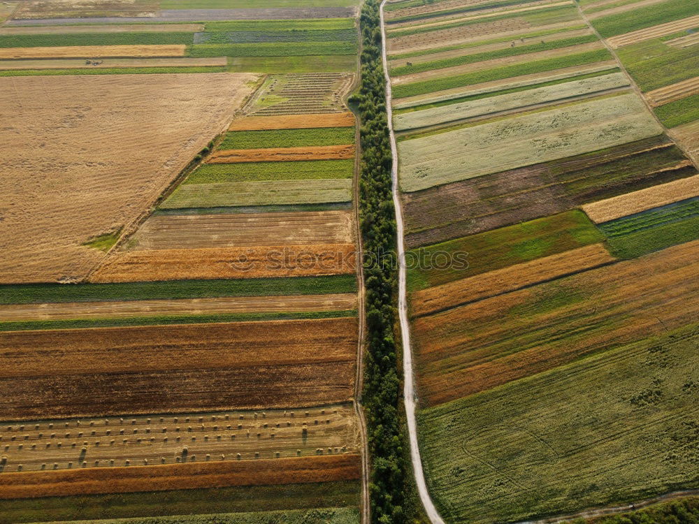 Similar – Foto Bild Feld- und Wiesengeometrie