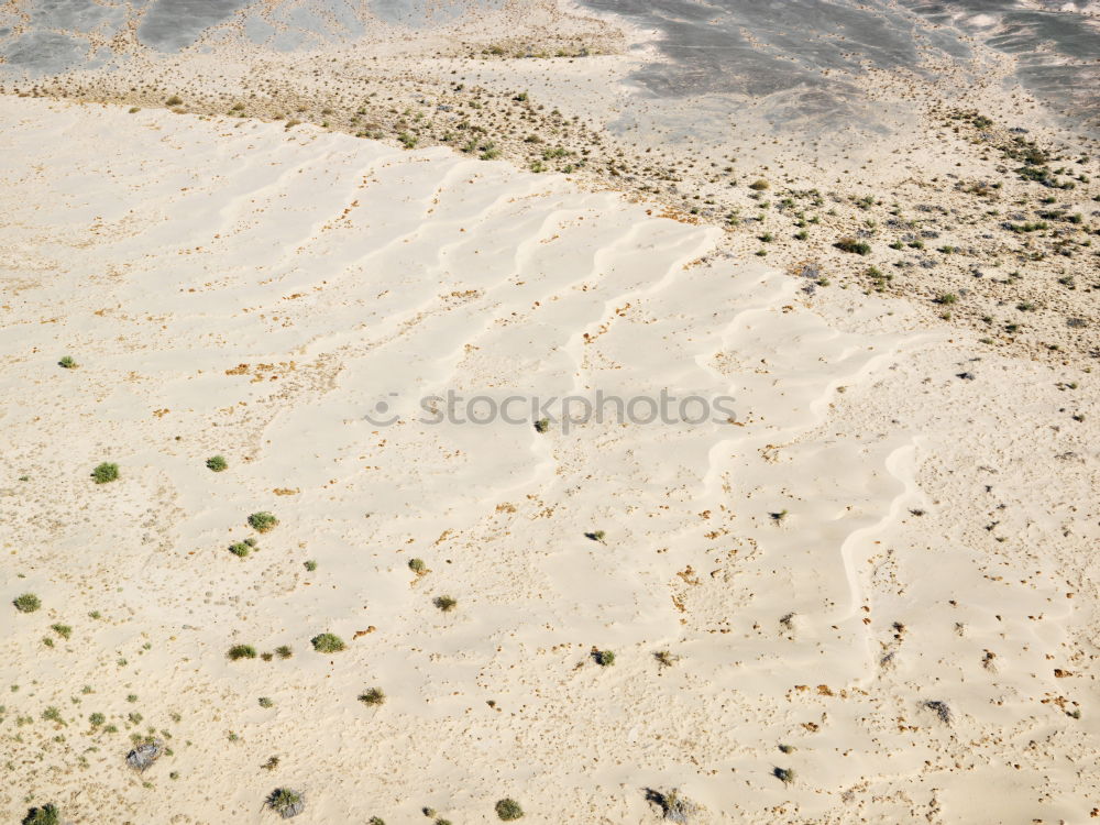 Tracks and deposit on the beach in Portugal IV