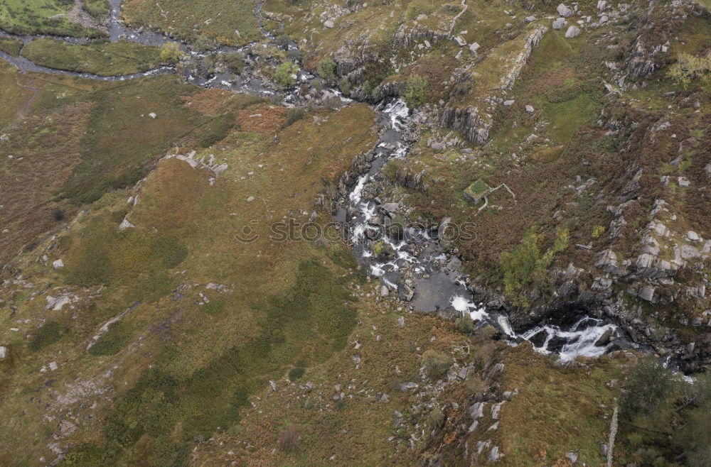 Similar – Foto Bild Aufforstung Landschaft