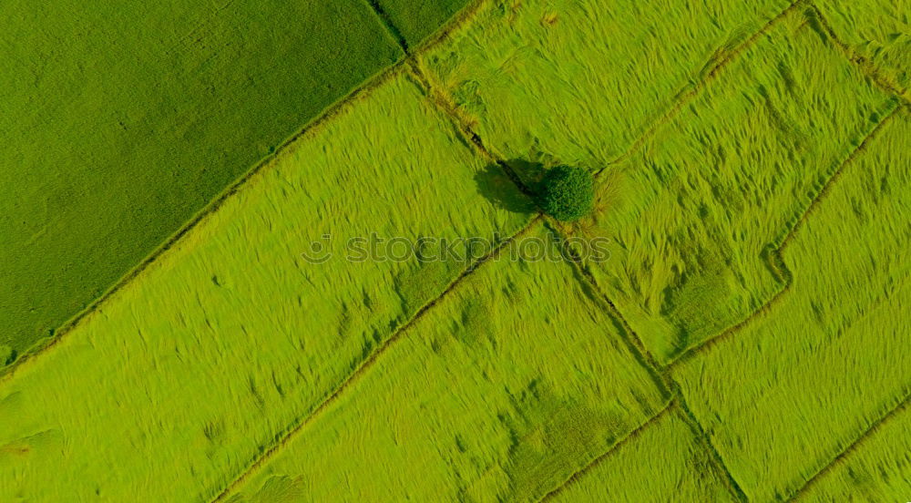 Similar – Image, Stock Photo patterns in the grass