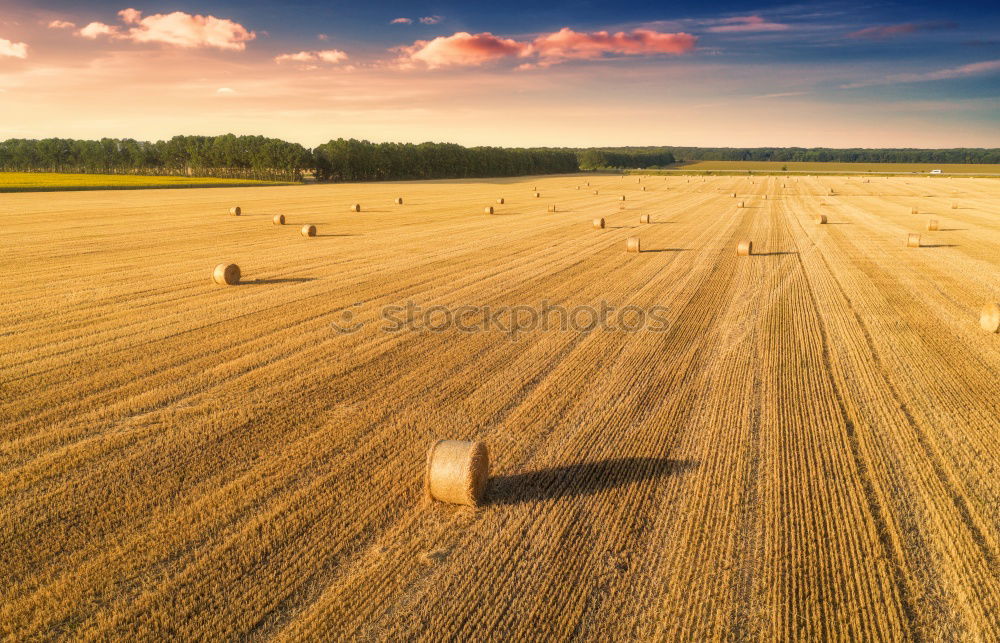 Similar – Image, Stock Photo Harvester on a field