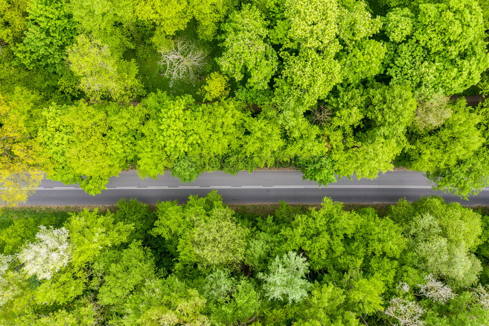 Image, Stock Photo It’s a road. Environment