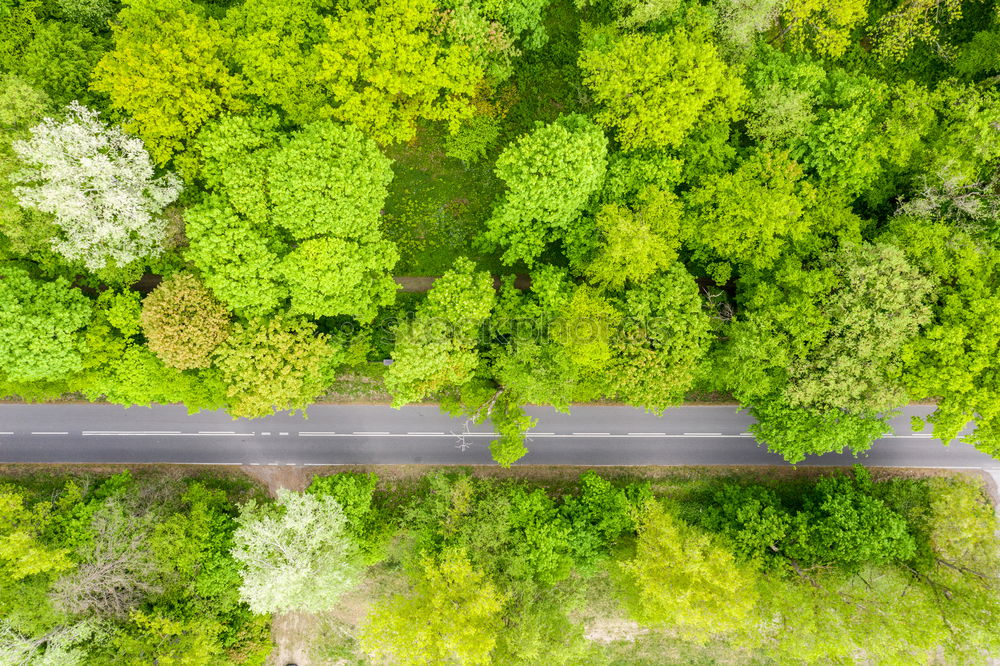 Similar – Image, Stock Photo It’s a road. Environment