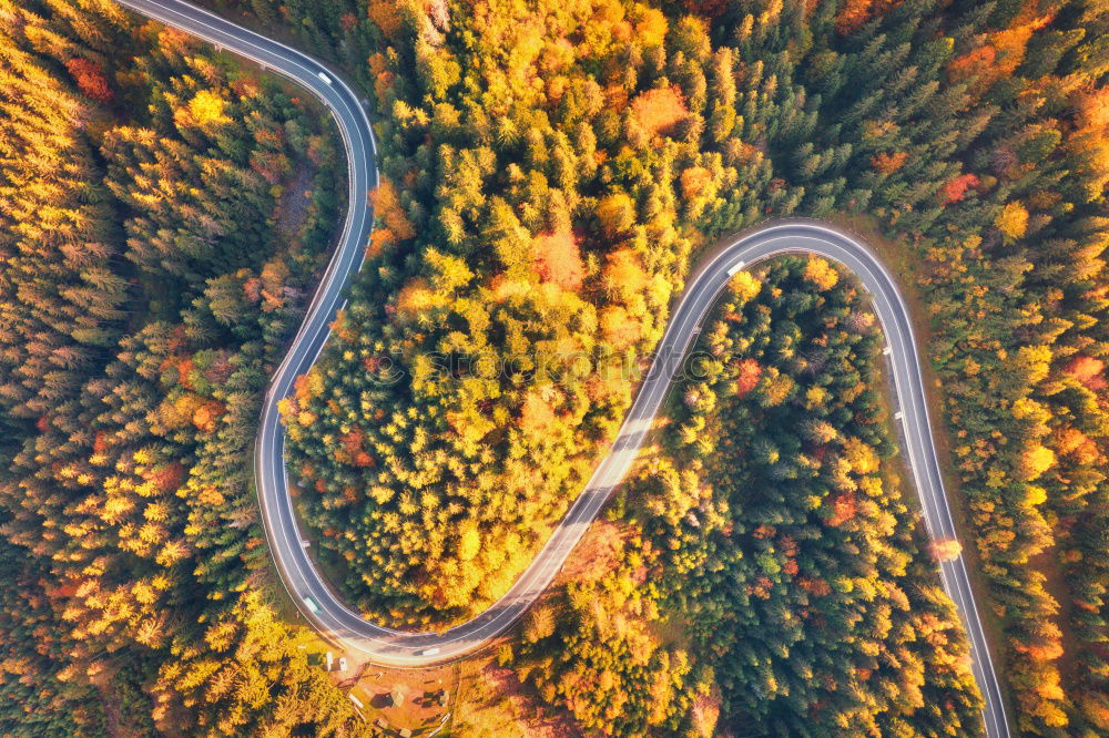 Similar – Image, Stock Photo Picturesque view of canyon with trees