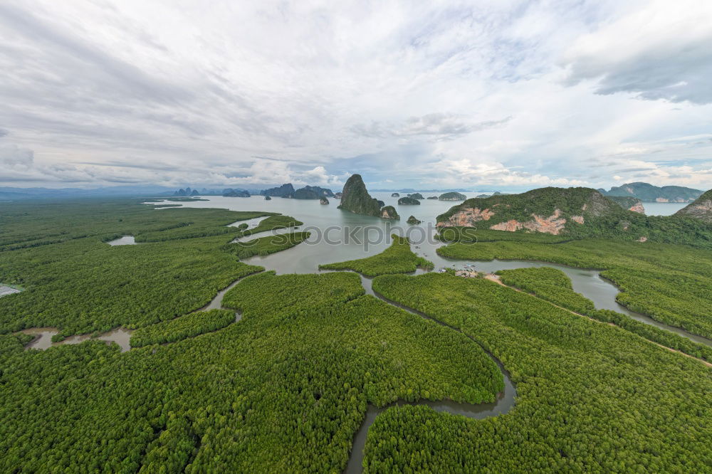 Similar – A bird’s eye view of a river delta