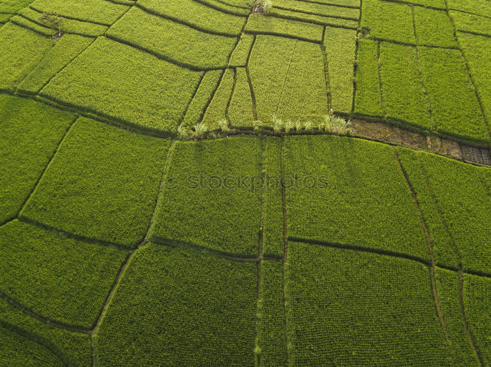 Similar – Aerial top view photo from flying drone