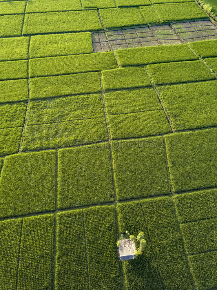 Similar – Foto Bild Feld- und Wiesengeometrie