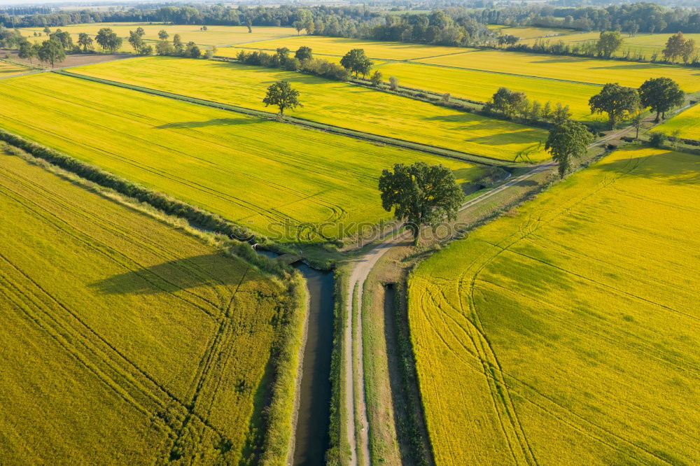 Similar – Image, Stock Photo Old windmill in canola Flowering Field at spring sunrise