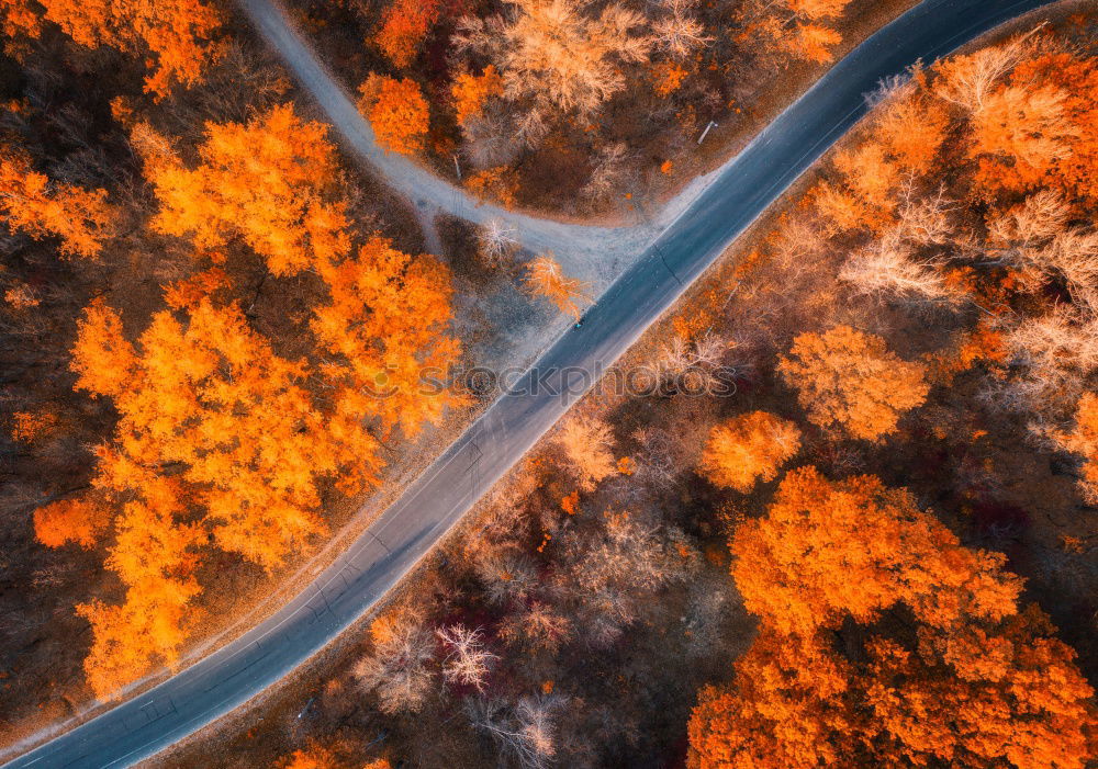 Similar – Image, Stock Photo Small road in a forest seen from above