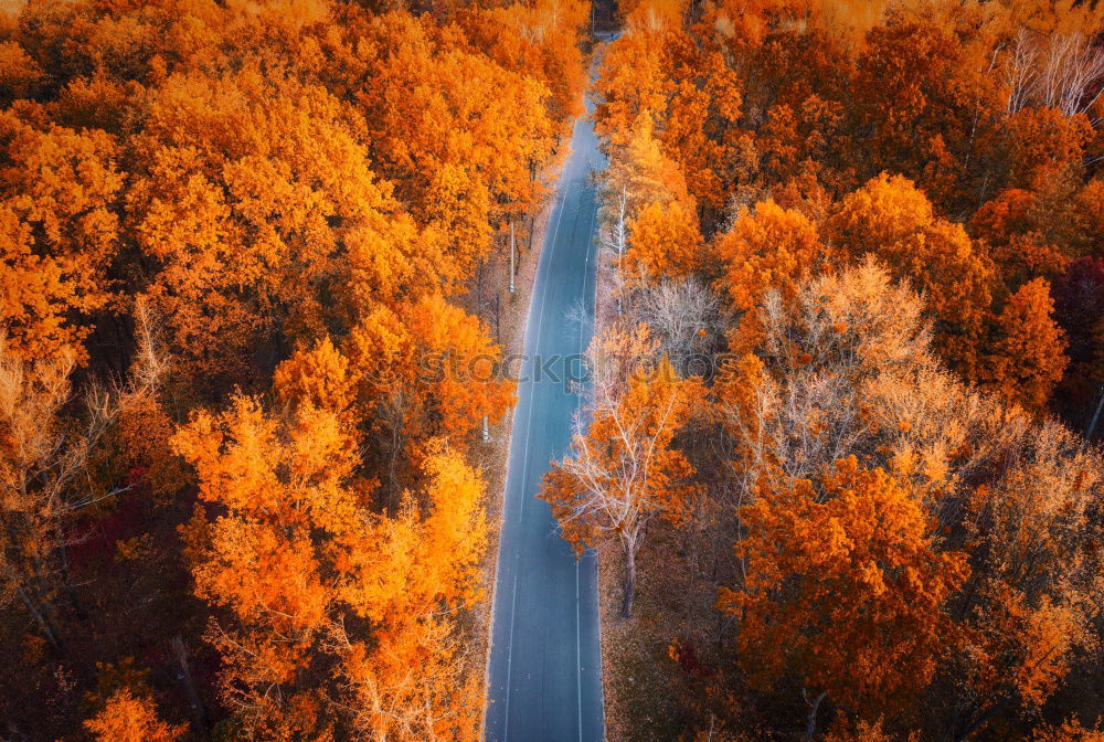 Similar – Image, Stock Photo Indian Summer @ Acadia NP