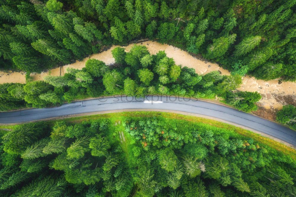 Eine kurvenreiche Straße von oben, die durch einen grünen Wald führt. Drohne Schuss für Tapeten, von oben nach unten von oben Luftaufnahme im Spätsommer.