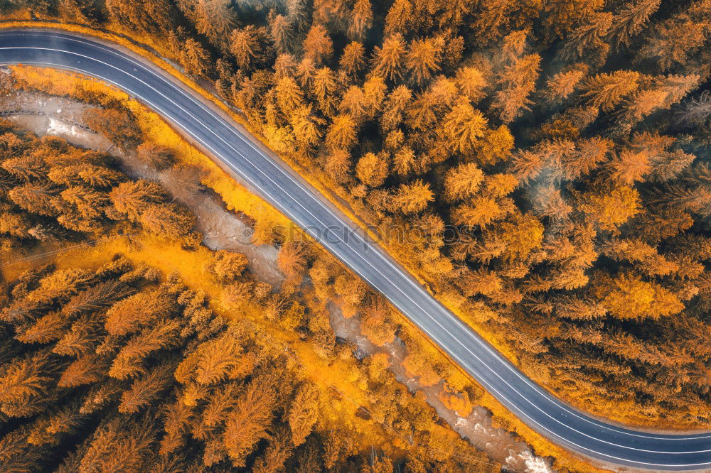 Similar – Image, Stock Photo Picturesque view of canyon with trees