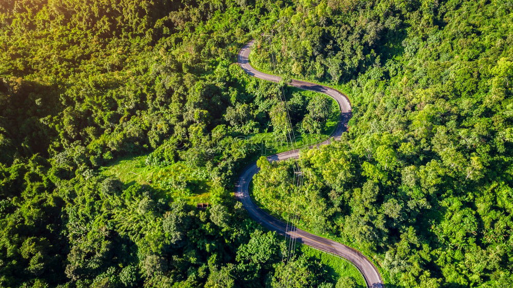 Similar – Image, Stock Photo Aerial top view top view of the road through the trees,